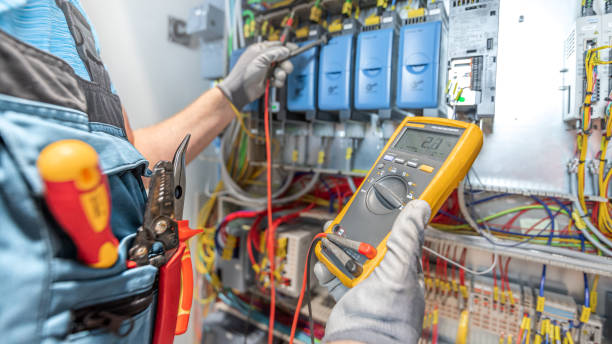 Best Generator Installation Services  in Vley, AL